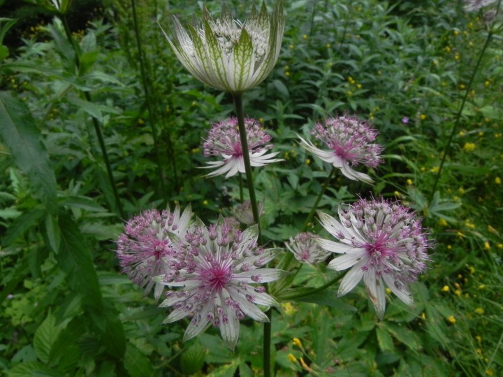 DSCN8958.JPG