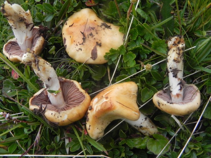DSCN9382.JPG