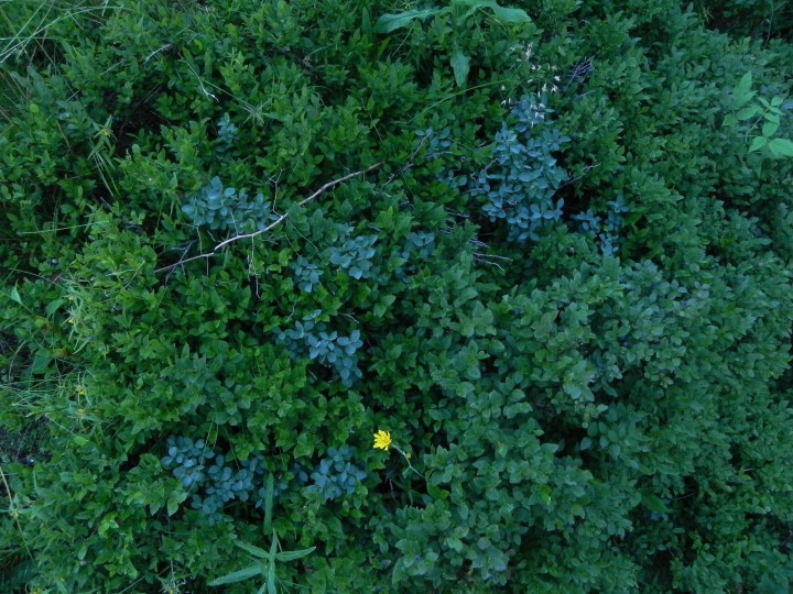 DSCN1730.JPG