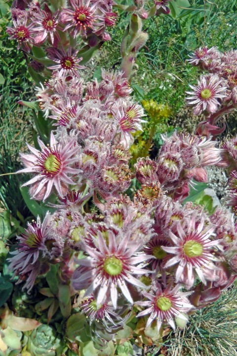 H2130100.JPG