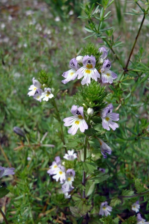 H2130081.JPG