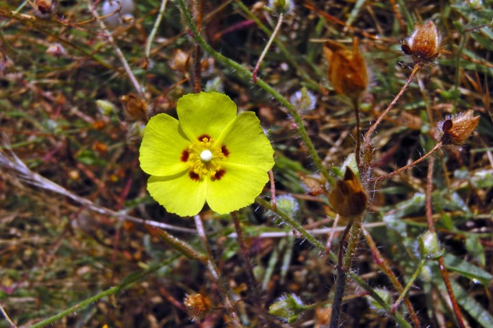 H1710065.JPG