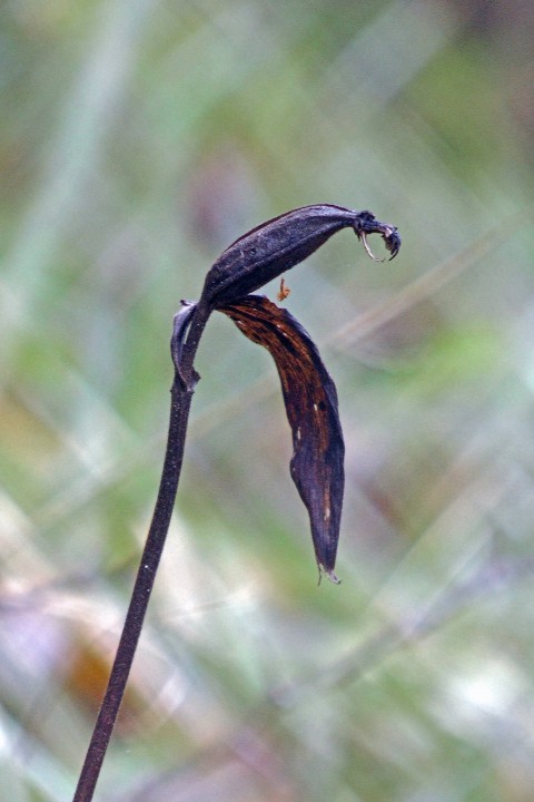 H2230002.JPG