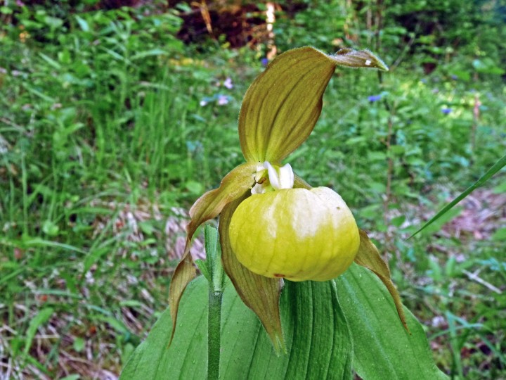 P1020117.JPG