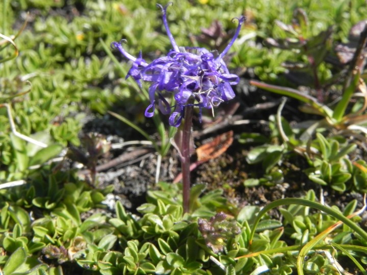 DSCN9602.JPG