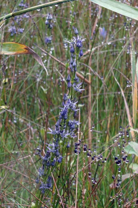 H2170218.JPG