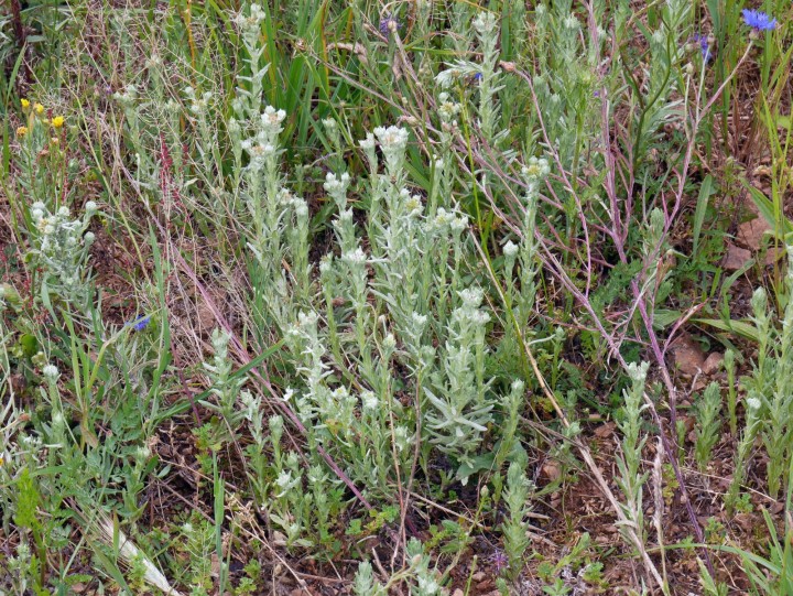 P1010349.JPG