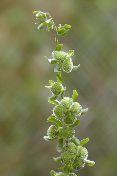 H1660977.JPG
