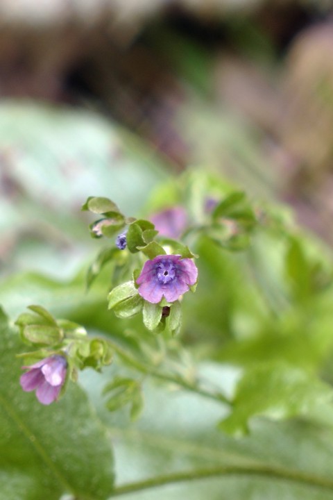 H1660978.JPG
