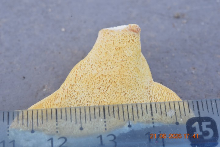 DSC_0796.JPG
