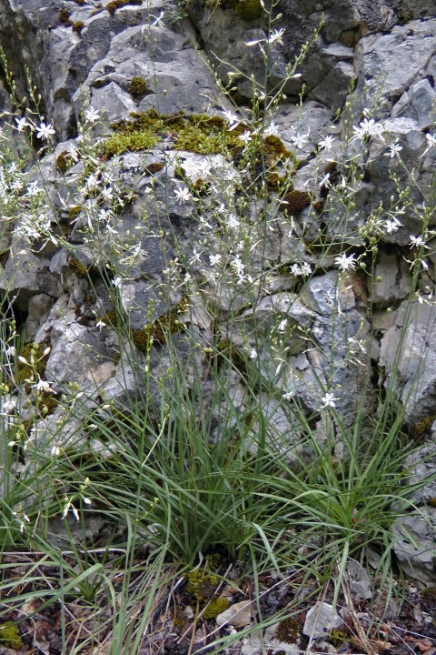 H1660798.JPG