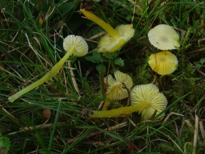 DSC07386.JPG