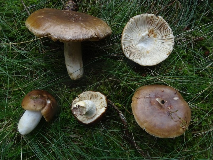 DSC07421.JPG