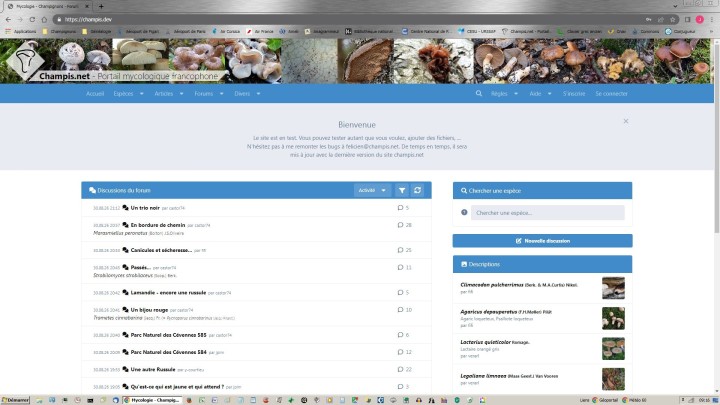 Cliquer sur l'image pour agrandir