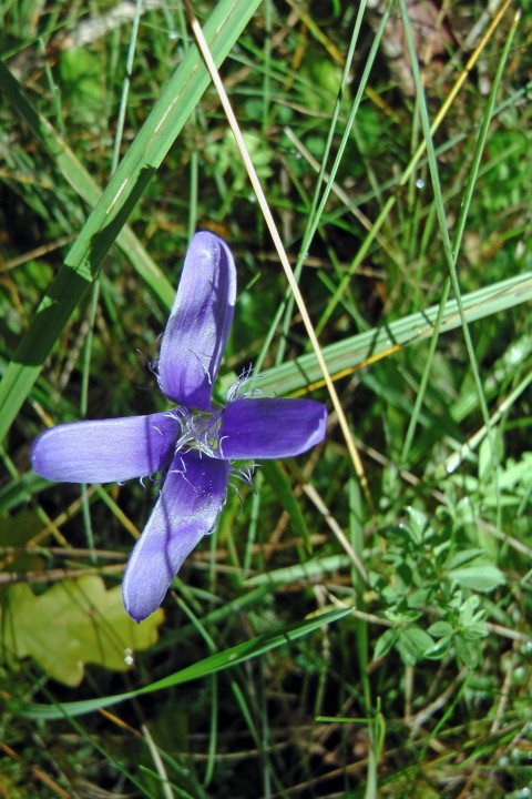 H2170417.JPG