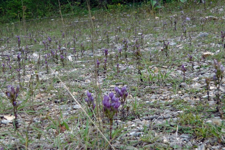 H4910030.JPG
