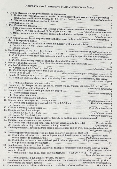 3116154423_96927486e8_b.jpg