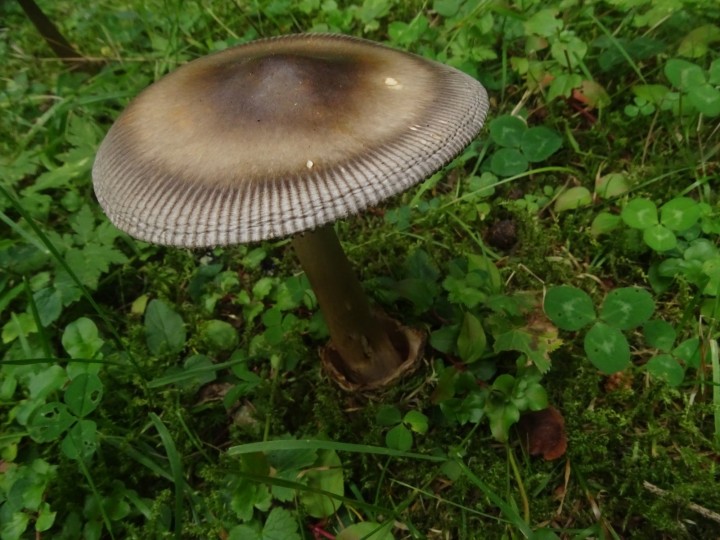 DSC07449.JPG