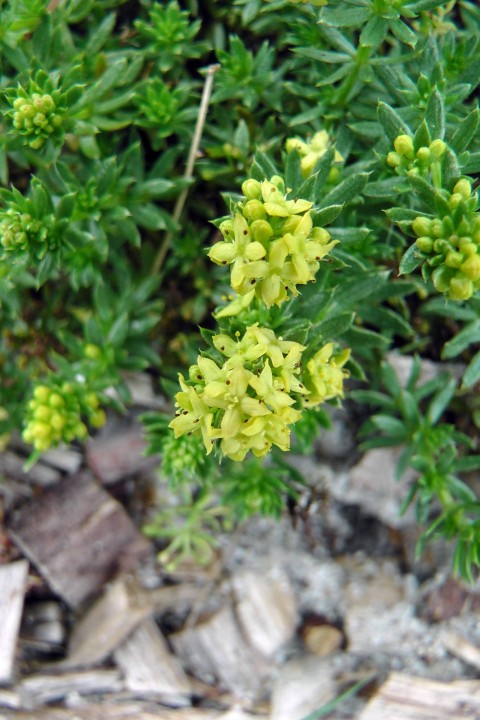 H1710205.JPG