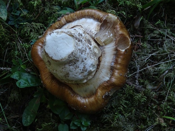 DSC07519.JPG