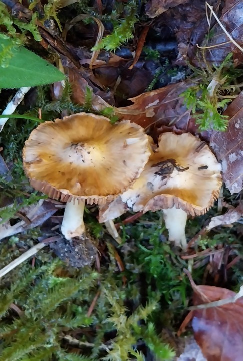 20260919_113408.jpg