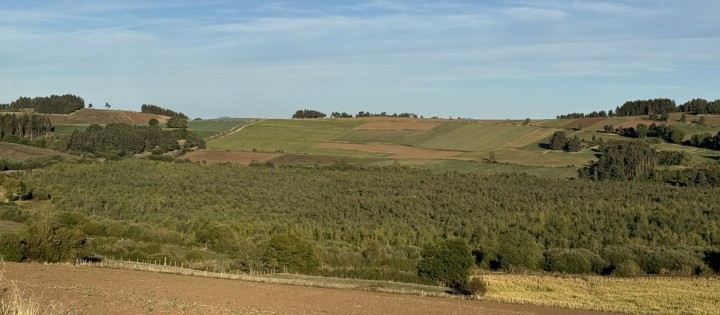 marais de limagne 1.jpg