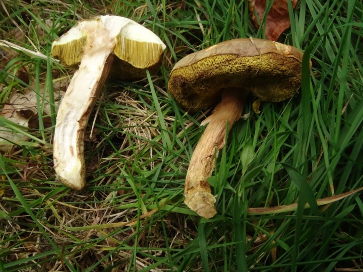 DSC07546.JPG