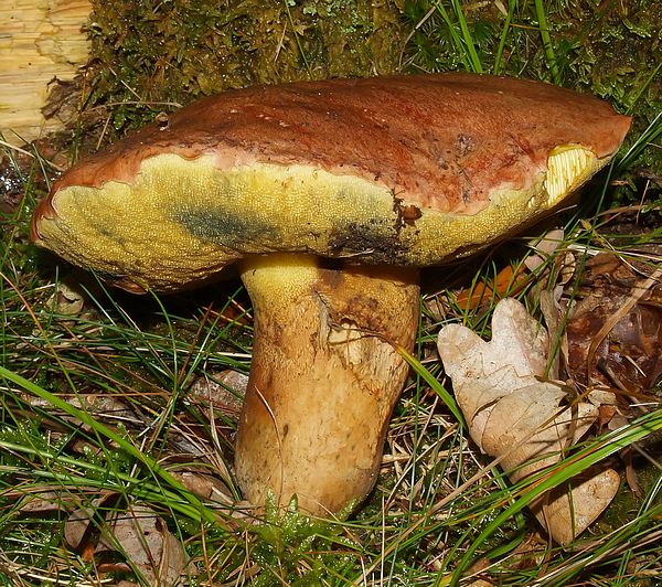 2009_09190048.JPG