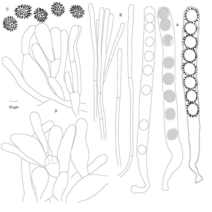 M_sp117090901.jpg