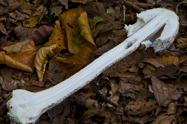_DSC8124.jpg