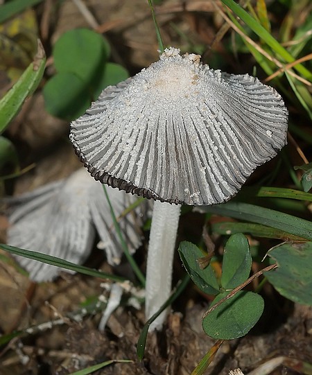 2009_09240001.JPG