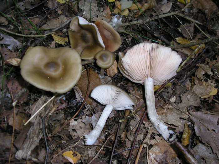P9270026.JPG