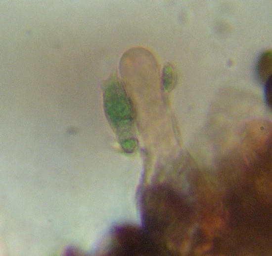 2009_1001002.JPG