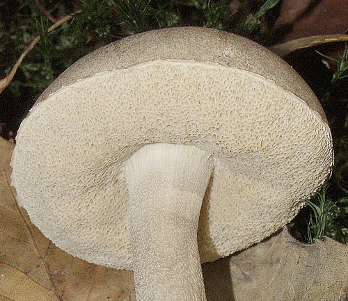 2009_10030026.JPG