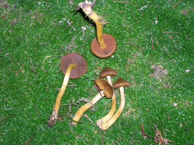 DSCN4497_640x480.jpg