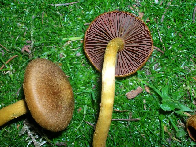 DSCN4498_640x480.jpg