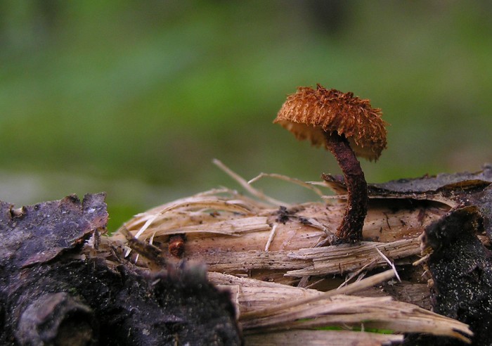 240709-003.jpg