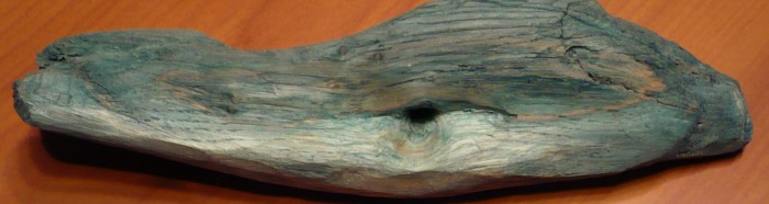 P1010281bleu3.jpg