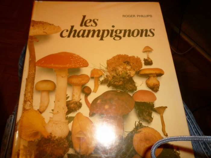 champignons [Résolution de l'écran].jpg