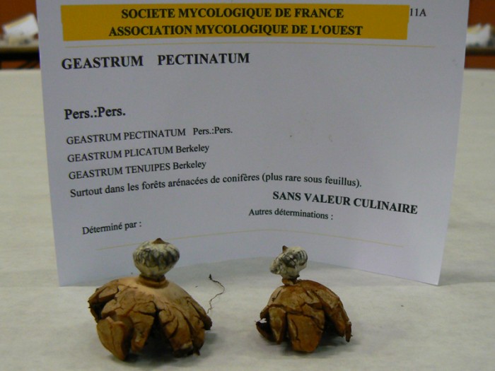 P1140191.jpg
