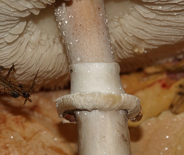 2009_11030002.JPG