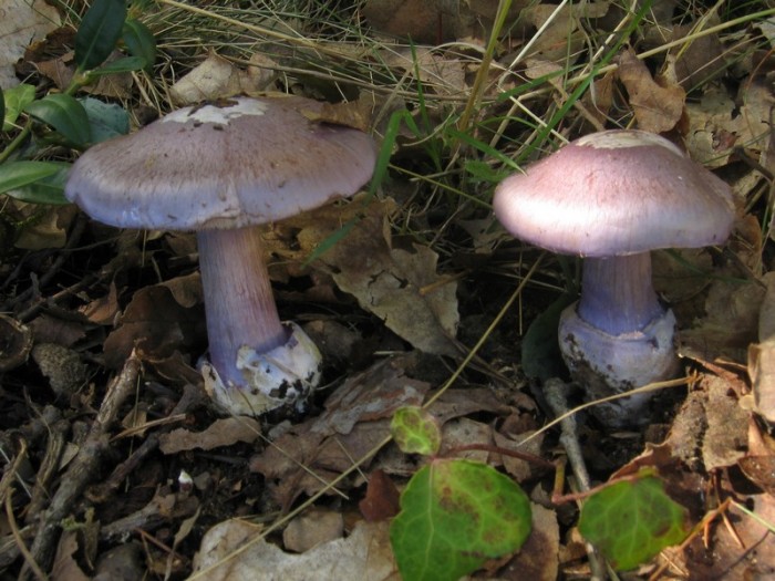 Photo 001.jpg