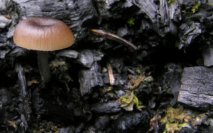 DSCN9372.jpg