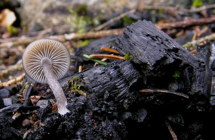 DSCN9378.jpg