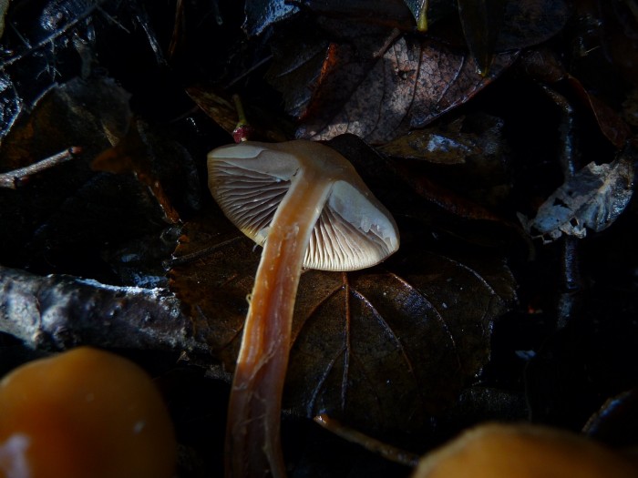 P1030217.JPG
