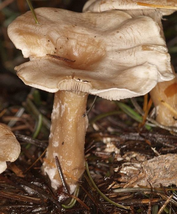 2009_11080156.JPG