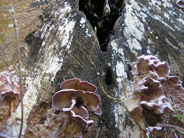 PB100005.JPG