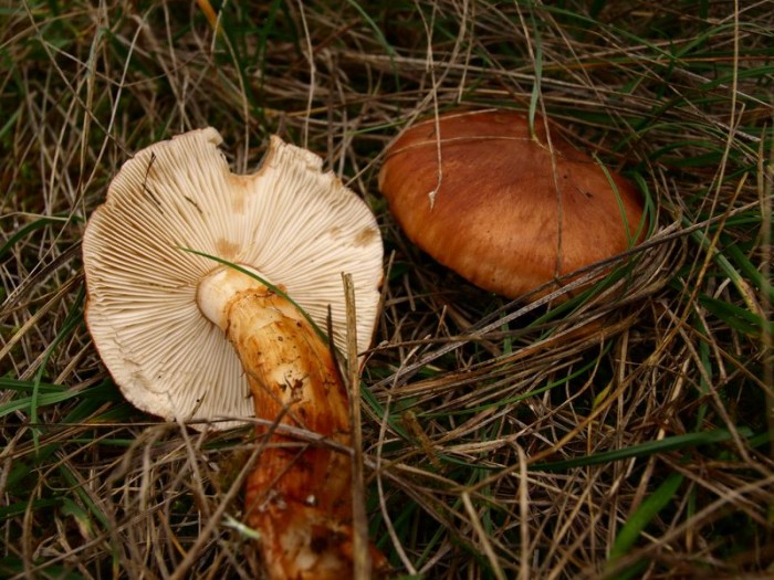 PB193525.JPG