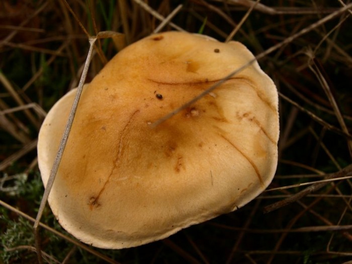 PB193506.JPG