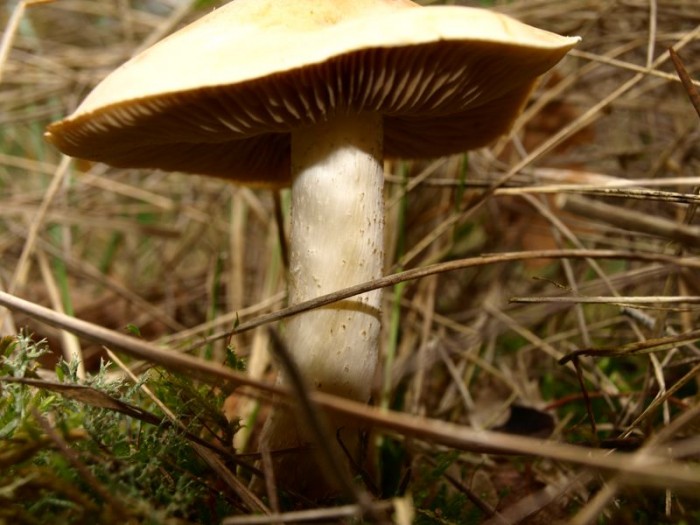 PB193509.JPG